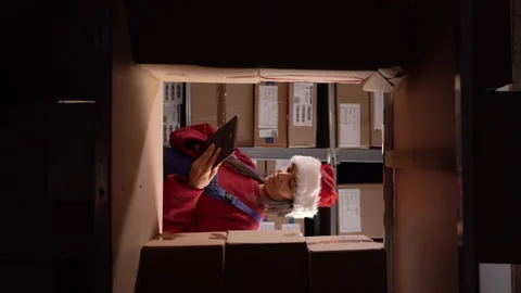 Female inventory manager with digital tablet working in stock of parcels with Stock Footage 249809207