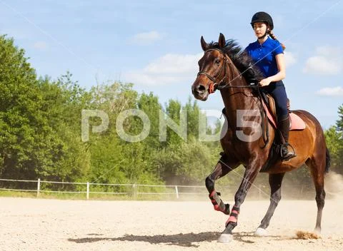 Female jockey galloping on horseback at racetrack Stock Photos
