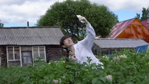 A female lab technician studies the growth of potatoes on an experimental site. Stock Footage 94063288