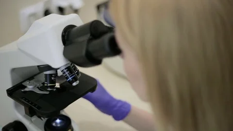Female laboratory assistant looks through a microscope and analyzes Stock Footage 75908612