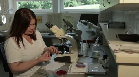 Female laboratory technician analyzing specimens using microscope. Stock Footage 50244513