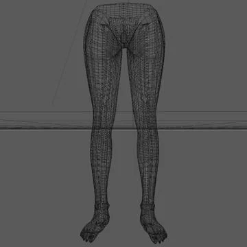 Female Legs and Feet ~ 3D Model ~ Download #91431166 | Pond5