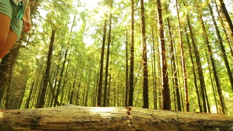 Female legs rolling over a tree through a ravine. 库存影片 93906232