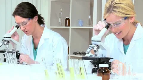 Female Medical Researchers Using Microscopes Stock Footage