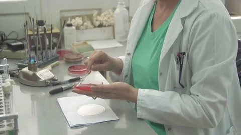Female medical worker analyzing samples at laboratory, tilt up by Pakito. Stock Footage 74796165