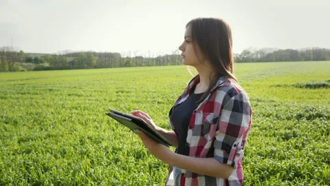 Female modern farmer using digital tablet on wheat field. Checking plant growth Stock Footage 163251194