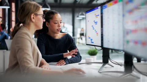 Female Office Manager Using Computer Screen Stock Footage 328398125