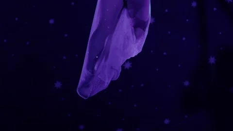 Female performer executing an aerial silk routine, body covered in glitter, Stock Footage 344865135