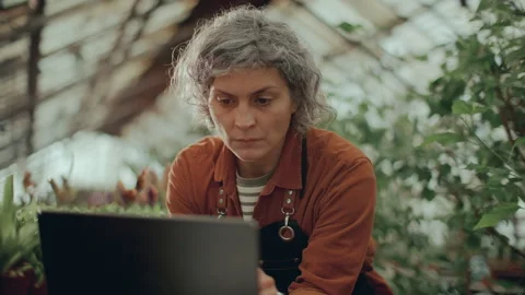 Female Plant Nursery Manager Using Laptop at Work in Sunlit Greenhouse Stock Footage 292578341