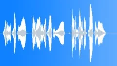 Female Popular SayingSound Effect
