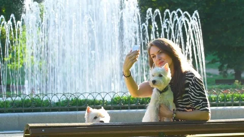 Female pose for selfie with two cute dogs pets near park fountain. slow motion Stock Footage 109540416