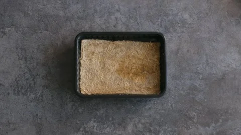 Female preparing oat seeds for sprouting at home Video stock 296550836