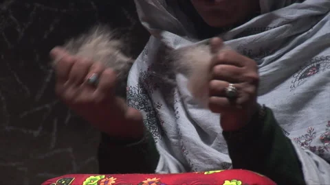 Female Processing the  sheep wool with hands for thread making Stock Footage 202856932