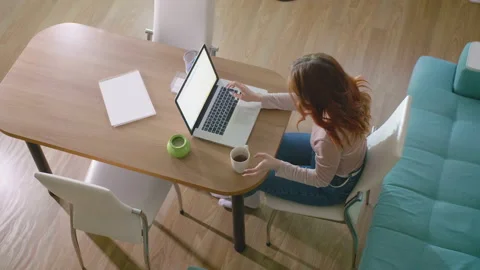 Female Professional User Lady Using PC Technology Doing Online Job In Office or Stock Footage 169019306