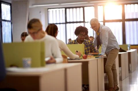 Female professor explaining the lesson to a student at a lecture Stock Photos