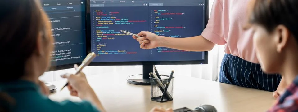 Female programer present program coding while manager listening. Burgeoning. Foto stock