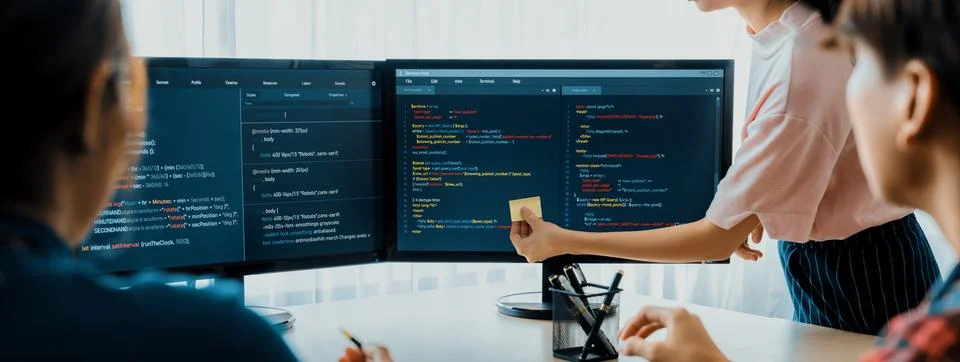 Female programer present program coding while manager listening. Burgeoning. Foto stock