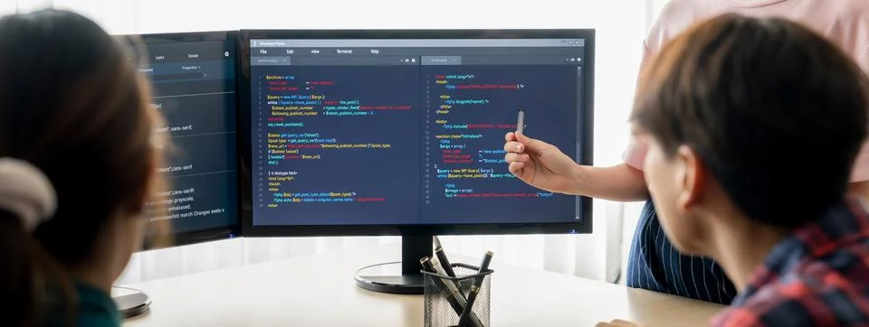 Female programer present program coding while manager listening. Burgeoning. 스톡 사진
