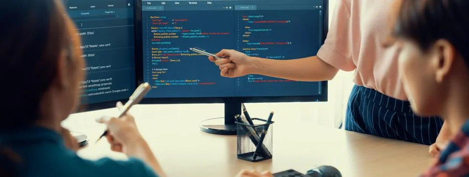 Female programer present program coding while manager listening. Burgeoning. 스톡 사진