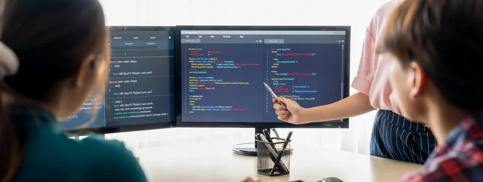 Female programer present program coding while manager listening. Burgeoning. Stock Photos