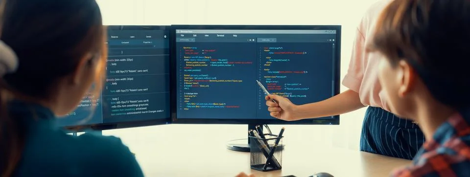 Female programer present program coding while manager listening. Burgeoning. Stock Photos