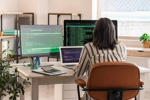 Female programmer working at desk in office, back view Stock Photos