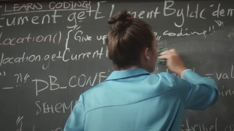 Female Programmer Writing Code on Blackboard Stock-Footage 263728788