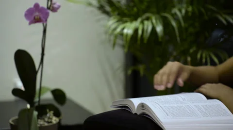 Female reading a book Stock Footage 54937563