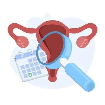 Female reproductive system vector Stock Illustration