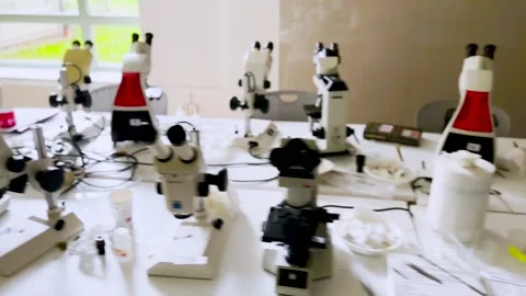 Female research scientist looking at samples under microscope Stock Footage 255902897