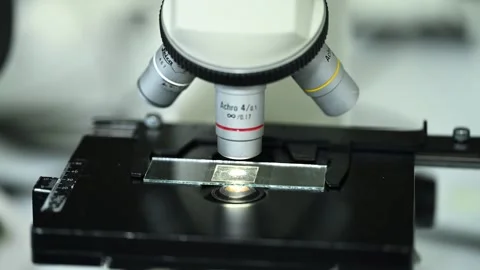 Female research scientist looking at samples under microscope Stock Footage 255902971