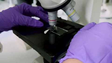 Female research scientist looking at samples under microscope Stock Footage 255902972