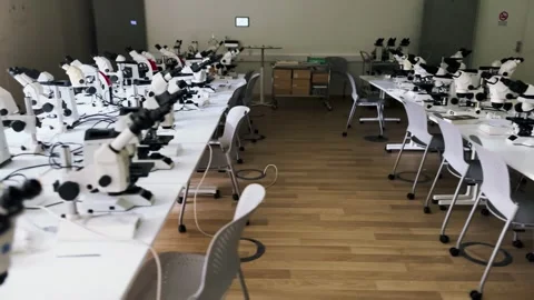 Female research scientist looking at samples under microscope Stock Footage 255902973