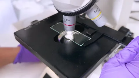 Female research scientist looking at samples under microscope Stock Footage 255903322