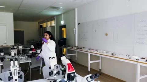 Female research scientist looking at samples under microscope Stock Footage 255903397