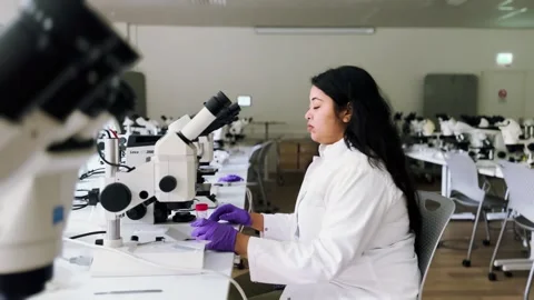Female research scientist looking at samples under microscope Stock Footage 255903814