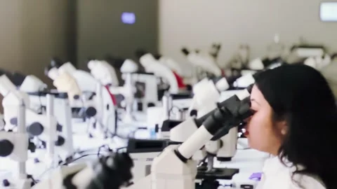 Female research scientist looking at samples under microscope Stock Footage 255903848