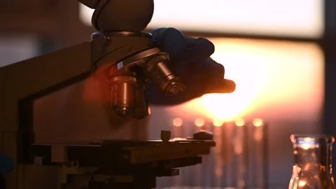 Female researcher looking at sample through microscope in laboratory Stock Footage 143327905