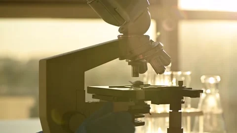 Female researcher looking at sample through microscope in laboratory Stock Footage 143327995