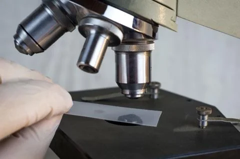Female researcher using her microscope in a laboratory 库存插图