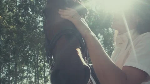 Female rider and horse in a sunny forest. Woman stroking the horse Stock Footage