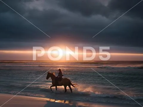 Female riding horse along the beach Stock Photos