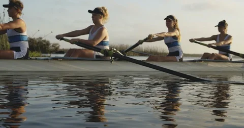 Female rowing team training on a river Stock Footage 116011043