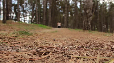 Female Runner Stock Footage 32373494