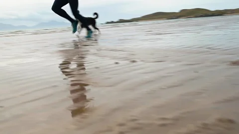Female runner jogging on the beach with her dog in slow motion Stock Footage 113005532