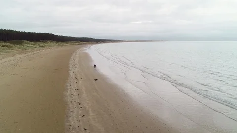 Female runner jogging on the beach with her dog at dusk Stock Footage 113010121