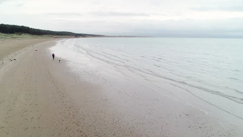 Female runner jogging on the beach with her dog Stock Footage 113010868