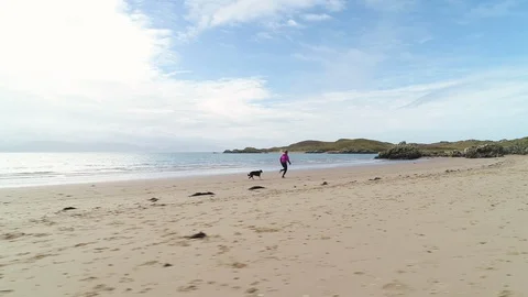 Female runner jogging with dog at beach on a sunny day Stock Footage 113010955