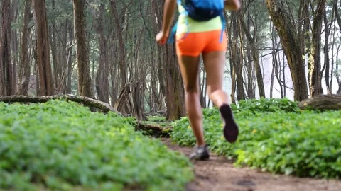 Female Runner Jogging On Footpath Amidst Plants In Forest Stock Footage