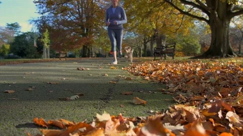 Female Runner Jogs Past Camera With Her Cute Little Dog Slow Motion Stock Footage 120462274